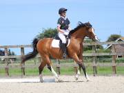 Image 144 in BROADLAND EQUESTRIAN CENTRE. DRESSAGE. JUNE 2019.