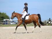 Image 146 in BROADLAND EQUESTRIAN CENTRE. DRESSAGE. JUNE 2019.