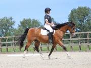 Image 147 in BROADLAND EQUESTRIAN CENTRE. DRESSAGE. JUNE 2019.