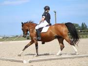 Image 148 in BROADLAND EQUESTRIAN CENTRE. DRESSAGE. JUNE 2019.