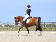 Image 149 in BROADLAND EQUESTRIAN CENTRE. DRESSAGE. JUNE 2019.