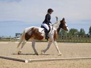 Image 15 in BROADLAND EQUESTRIAN CENTRE. DRESSAGE. JUNE 2019.