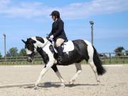 Image 151 in BROADLAND EQUESTRIAN CENTRE. DRESSAGE. JUNE 2019.