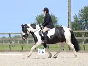 Image 153 in BROADLAND EQUESTRIAN CENTRE. DRESSAGE. JUNE 2019.