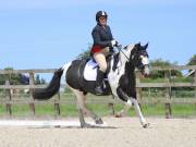 Image 168 in BROADLAND EQUESTRIAN CENTRE. DRESSAGE. JUNE 2019.