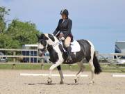 Image 172 in BROADLAND EQUESTRIAN CENTRE. DRESSAGE. JUNE 2019.