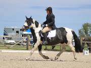 Image 179 in BROADLAND EQUESTRIAN CENTRE. DRESSAGE. JUNE 2019.