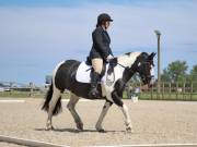 Image 180 in BROADLAND EQUESTRIAN CENTRE. DRESSAGE. JUNE 2019.