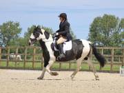 Image 181 in BROADLAND EQUESTRIAN CENTRE. DRESSAGE. JUNE 2019.