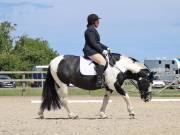 Image 183 in BROADLAND EQUESTRIAN CENTRE. DRESSAGE. JUNE 2019.