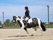 Image 187 in BROADLAND EQUESTRIAN CENTRE. DRESSAGE. JUNE 2019.