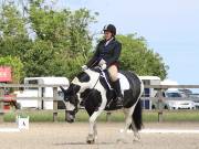 Image 188 in BROADLAND EQUESTRIAN CENTRE. DRESSAGE. JUNE 2019.