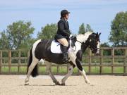 Image 189 in BROADLAND EQUESTRIAN CENTRE. DRESSAGE. JUNE 2019.