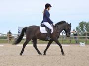 Image 19 in BROADLAND EQUESTRIAN CENTRE. DRESSAGE. JUNE 2019.