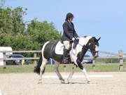 Image 2 in BROADLAND EQUESTRIAN CENTRE. DRESSAGE. JUNE 2019.