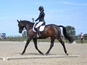 Image 21 in BROADLAND EQUESTRIAN CENTRE. DRESSAGE. JUNE 2019.