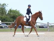 Image 22 in BROADLAND EQUESTRIAN CENTRE. DRESSAGE. JUNE 2019.