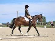 Image 23 in BROADLAND EQUESTRIAN CENTRE. DRESSAGE. JUNE 2019.