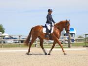 Image 26 in BROADLAND EQUESTRIAN CENTRE. DRESSAGE. JUNE 2019.