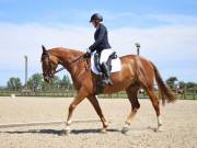 Image 29 in BROADLAND EQUESTRIAN CENTRE. DRESSAGE. JUNE 2019.