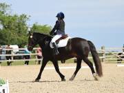 Image 3 in BROADLAND EQUESTRIAN CENTRE. DRESSAGE. JUNE 2019.