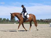 Image 31 in BROADLAND EQUESTRIAN CENTRE. DRESSAGE. JUNE 2019.