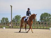 Image 32 in BROADLAND EQUESTRIAN CENTRE. DRESSAGE. JUNE 2019.