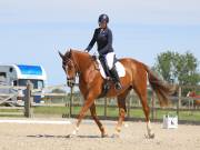 Image 33 in BROADLAND EQUESTRIAN CENTRE. DRESSAGE. JUNE 2019.