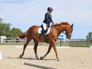 Image 34 in BROADLAND EQUESTRIAN CENTRE. DRESSAGE. JUNE 2019.