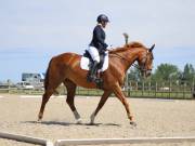 Image 36 in BROADLAND EQUESTRIAN CENTRE. DRESSAGE. JUNE 2019.