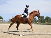 Image 38 in BROADLAND EQUESTRIAN CENTRE. DRESSAGE. JUNE 2019.