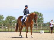 Image 40 in BROADLAND EQUESTRIAN CENTRE. DRESSAGE. JUNE 2019.