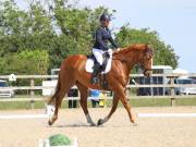 Image 42 in BROADLAND EQUESTRIAN CENTRE. DRESSAGE. JUNE 2019.