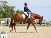 Image 43 in BROADLAND EQUESTRIAN CENTRE. DRESSAGE. JUNE 2019.