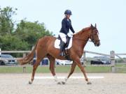 Image 45 in BROADLAND EQUESTRIAN CENTRE. DRESSAGE. JUNE 2019.