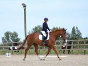 Image 46 in BROADLAND EQUESTRIAN CENTRE. DRESSAGE. JUNE 2019.