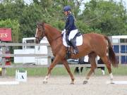 Image 48 in BROADLAND EQUESTRIAN CENTRE. DRESSAGE. JUNE 2019.