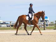 Image 49 in BROADLAND EQUESTRIAN CENTRE. DRESSAGE. JUNE 2019.