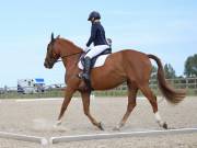 Image 50 in BROADLAND EQUESTRIAN CENTRE. DRESSAGE. JUNE 2019.