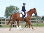 Image 52 in BROADLAND EQUESTRIAN CENTRE. DRESSAGE. JUNE 2019.