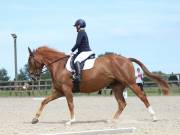 Image 54 in BROADLAND EQUESTRIAN CENTRE. DRESSAGE. JUNE 2019.