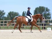 Image 57 in BROADLAND EQUESTRIAN CENTRE. DRESSAGE. JUNE 2019.