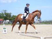 Image 58 in BROADLAND EQUESTRIAN CENTRE. DRESSAGE. JUNE 2019.