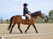 Image 6 in BROADLAND EQUESTRIAN CENTRE. DRESSAGE. JUNE 2019.