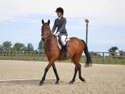 Image 60 in BROADLAND EQUESTRIAN CENTRE. DRESSAGE. JUNE 2019.