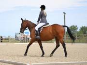 Image 61 in BROADLAND EQUESTRIAN CENTRE. DRESSAGE. JUNE 2019.