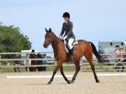 Image 63 in BROADLAND EQUESTRIAN CENTRE. DRESSAGE. JUNE 2019.