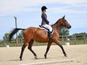 Image 64 in BROADLAND EQUESTRIAN CENTRE. DRESSAGE. JUNE 2019.