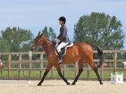 Image 65 in BROADLAND EQUESTRIAN CENTRE. DRESSAGE. JUNE 2019.