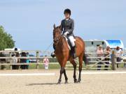 Image 66 in BROADLAND EQUESTRIAN CENTRE. DRESSAGE. JUNE 2019.